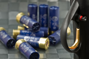ss_03.jpg Munition